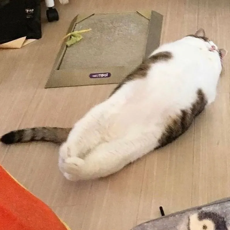 메인 상품 이미지_1